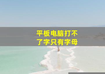 平板电脑打不了字只有字母