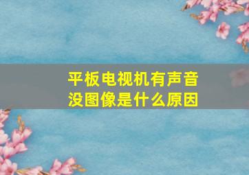 平板电视机有声音没图像是什么原因