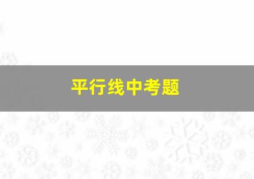 平行线中考题