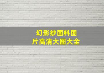 幻影纱面料图片高清大图大全