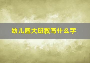 幼儿园大班教写什么字