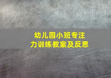 幼儿园小班专注力训练教案及反思