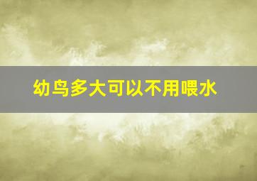 幼鸟多大可以不用喂水