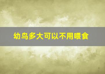 幼鸟多大可以不用喂食