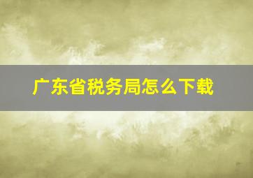 广东省税务局怎么下载