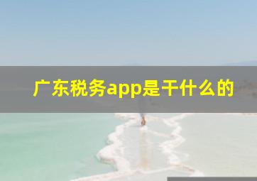 广东税务app是干什么的