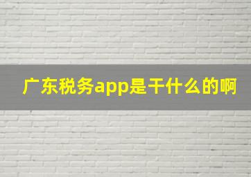 广东税务app是干什么的啊