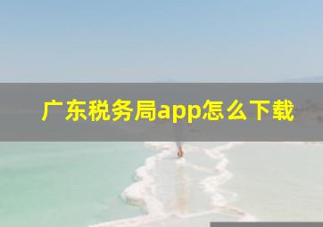 广东税务局app怎么下载