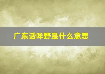 广东话咩野是什么意思