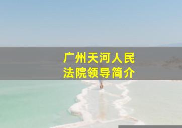 广州天河人民法院领导简介