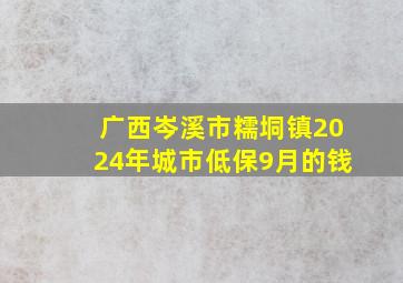 广西岑溪市糯垌镇2024年城市低保9月的钱