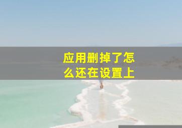 应用删掉了怎么还在设置上