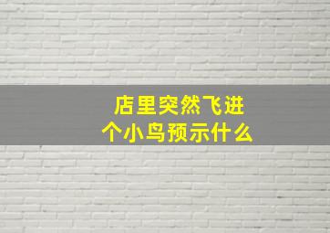 店里突然飞进个小鸟预示什么