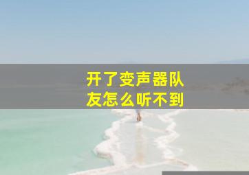 开了变声器队友怎么听不到