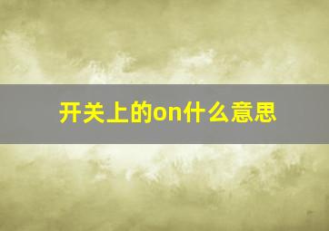 开关上的on什么意思