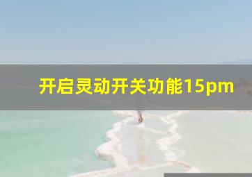 开启灵动开关功能15pm