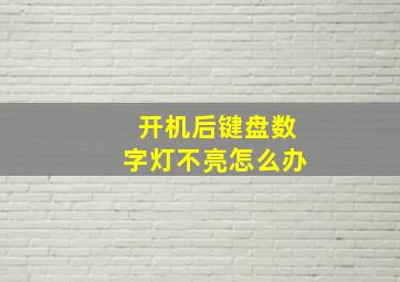 开机后键盘数字灯不亮怎么办