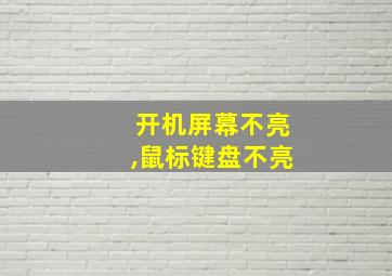 开机屏幕不亮,鼠标键盘不亮