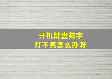 开机键盘数字灯不亮怎么办呀