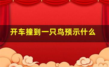 开车撞到一只鸟预示什么