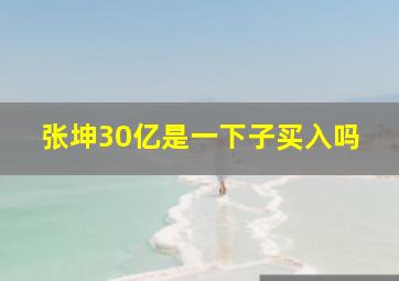 张坤30亿是一下子买入吗