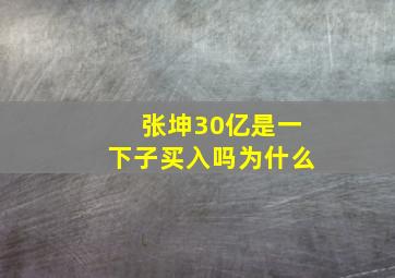 张坤30亿是一下子买入吗为什么