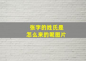 张字的姓氏是怎么来的呢图片