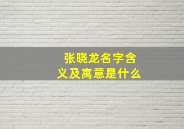 张晓龙名字含义及寓意是什么