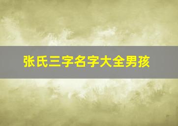 张氏三字名字大全男孩