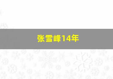 张雪峰14年