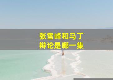 张雪峰和马丁辩论是哪一集