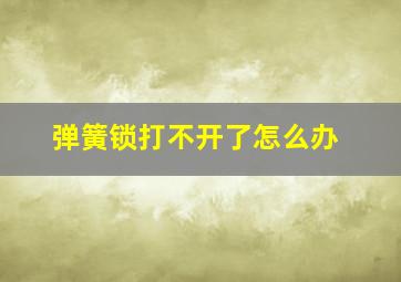 弹簧锁打不开了怎么办