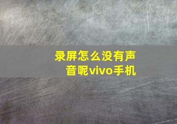 录屏怎么没有声音呢vivo手机