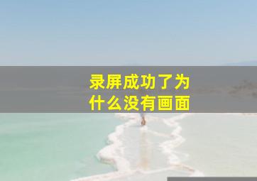 录屏成功了为什么没有画面