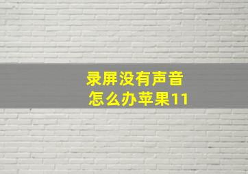 录屏没有声音怎么办苹果11