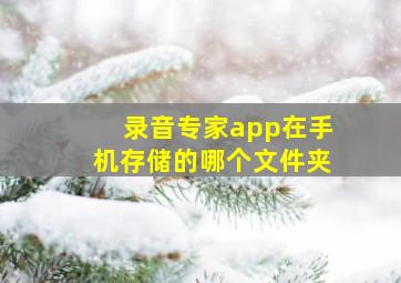 录音专家app在手机存储的哪个文件夹