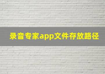 录音专家app文件存放路径