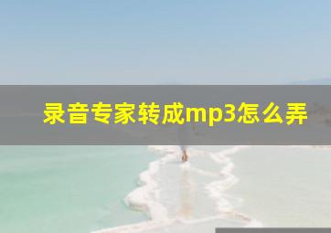 录音专家转成mp3怎么弄