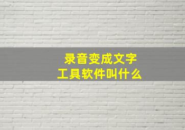 录音变成文字工具软件叫什么