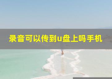 录音可以传到u盘上吗手机