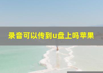 录音可以传到u盘上吗苹果