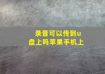 录音可以传到u盘上吗苹果手机上