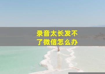 录音太长发不了微信怎么办