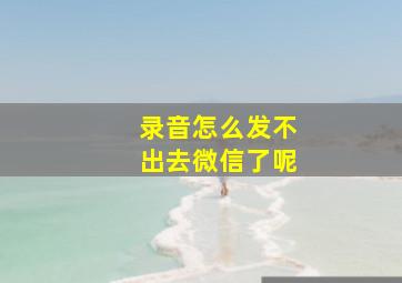 录音怎么发不出去微信了呢