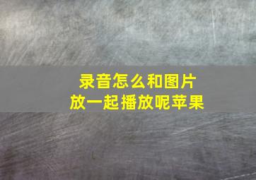 录音怎么和图片放一起播放呢苹果