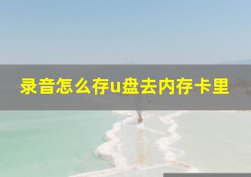 录音怎么存u盘去内存卡里