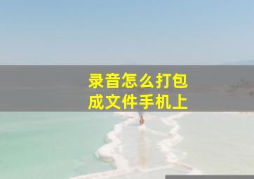 录音怎么打包成文件手机上