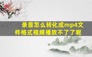 录音怎么转化成mp4文件格式视频播放不了了呢