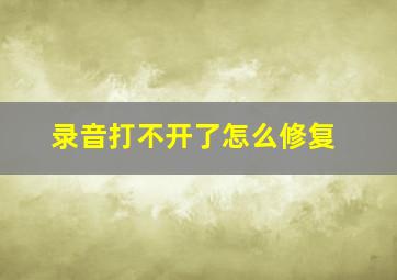 录音打不开了怎么修复