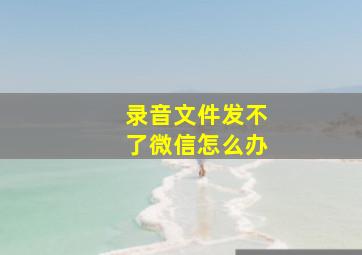 录音文件发不了微信怎么办